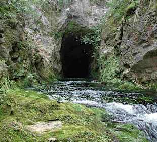 Risorgenza delle acque ipogee