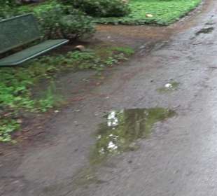 Waldfriedhof Degerloch
