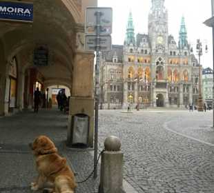 Das historische Rathaus