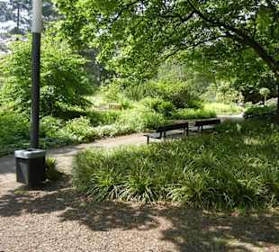 Parkanlage Planten un Blomen