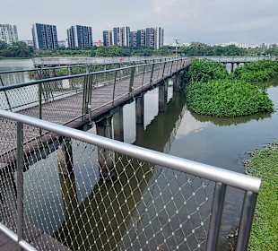 Jurong Lake und Gärten