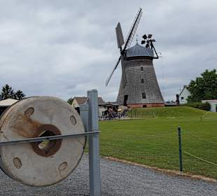 Holländerwindmühle