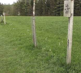 Lehrpfad Bäume des Jahres