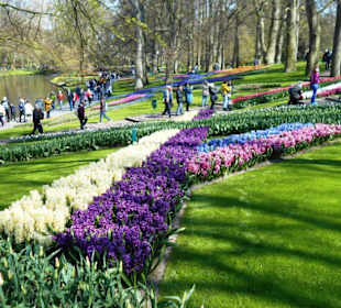 Blumenpracht im Keukenhof