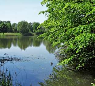 Blick über den Krimpelsee