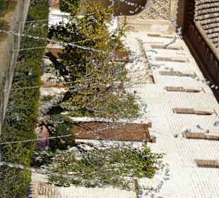 Dettaglio del giardino