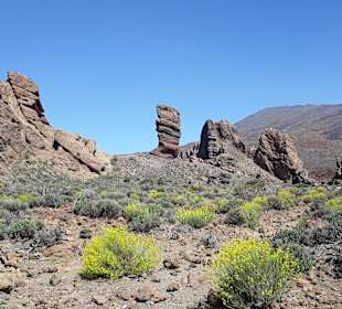 Teide Nationalpark