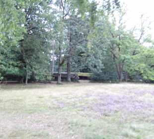 Kutschfahrt Undeloh Impression