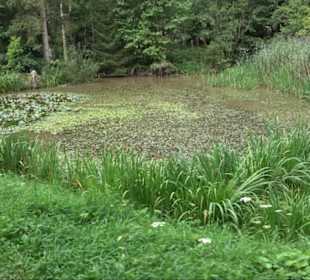 Sonnenaufgangs-Rundwanderung Rübgarten