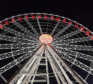 The Wheel of Venice