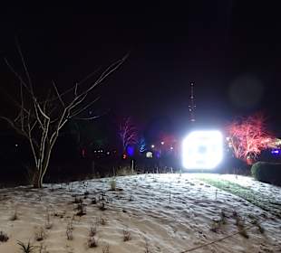 LuisenparkLuisenpark