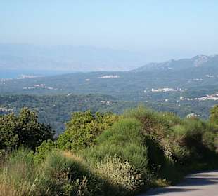 Landschaft