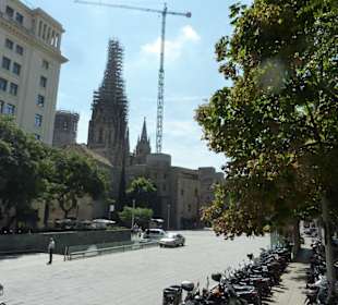 Kathedrale am Platz Pla de la Seu