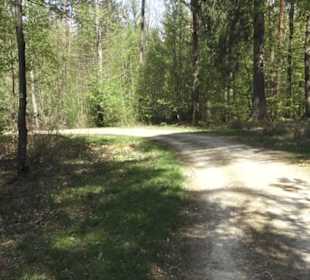 Wanderweg Hochgehwachsen
