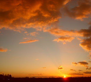 Gelber Sonnenuntergang