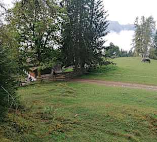 Wandern Werfenweng