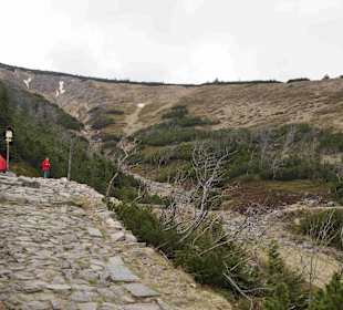 Berg Schneekoppe/Śnieżka