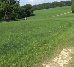 Premiumwanderweg "hochgelegen"