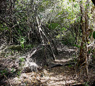 Spaziergang durch den Hòfi Pastor Park