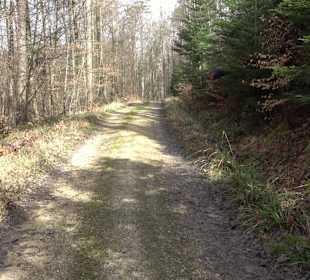 Gomaringer Rundweg - Zu den Giganten im Wald