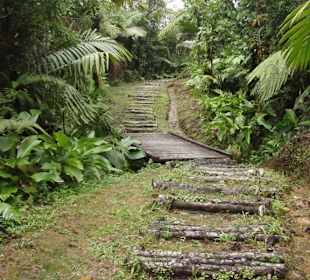 Wandern in Dominica