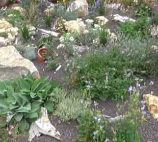 Blühendes Neresheim