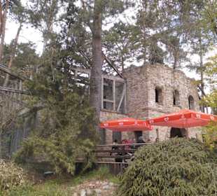 Weltvogelpark Walsrode