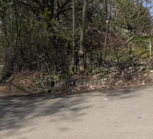 Wanderung Florianrunde