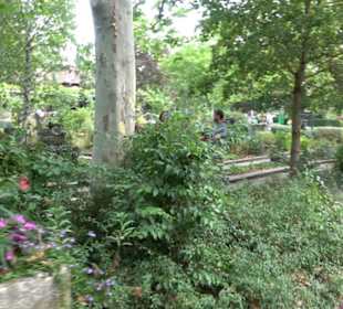 Erlebnispark Tripsdrill