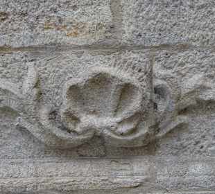 Stadtrundgang Würzburg