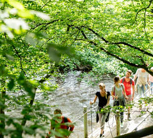 Wandern Vöhl 