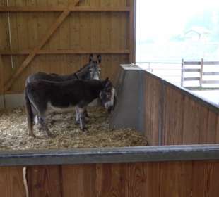 Erlebnisbauernhof und Wildgehege