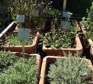 Klosterkirche Maria Gnadenzell