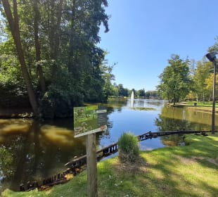  Molenvijverpark in Genk, Belgien 