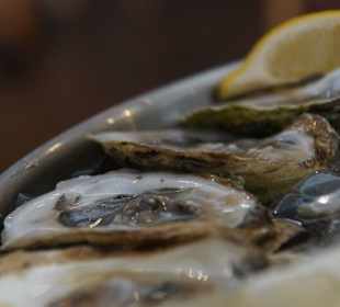 Austern
