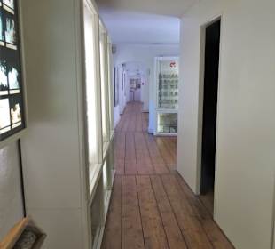 In den Ausstellungsräumen des Museums