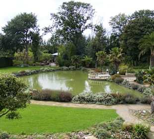 Kleiner See in Fort den Haak