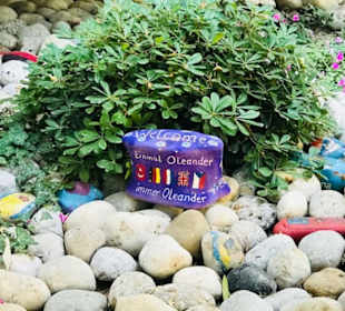 Ein mal Oleander immer Oleander