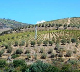 Douro Flussreisen