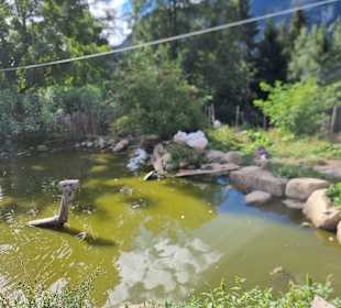 Wandern Saltaus in Passeier