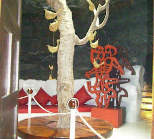 Im Wohnhaus von Cesar Marrique