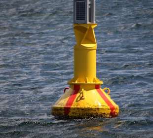 Kieler Förde Gelbe Tonne