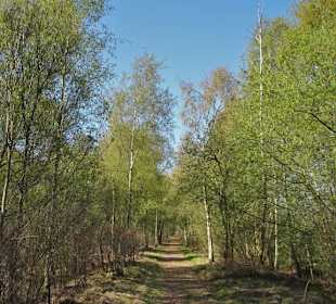 Impressionen aus der Gellener Torfmöörte