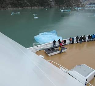 MS Zaandam befährt den Tracy Arm Fjord