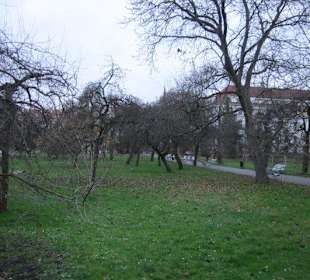 Mala Strana Vojanovy Sady