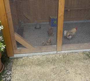 Historische Stadtmauer