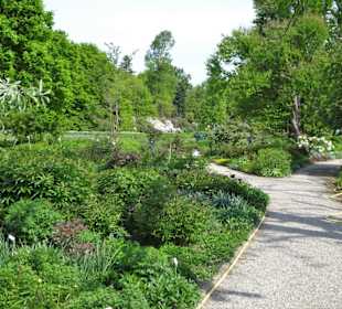 Spaziergang durch den Berggarten Hannover