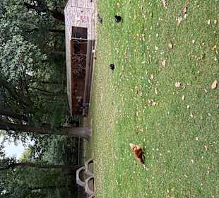 Steinerbos Belevenispark