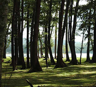 Sirinat National Park