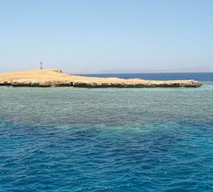 Tolles Riff zum Schnorcheln